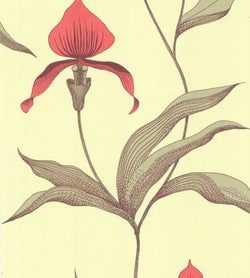 Color – Rouge & Olive Green on Soft Olive