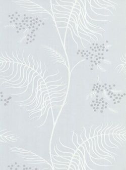 Color – Grey & White on Silver Birch