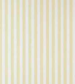 Color – Dayroom Yellow