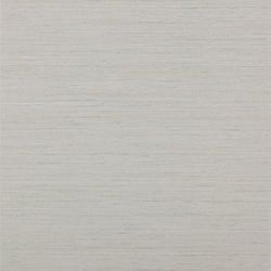 Color – Silver