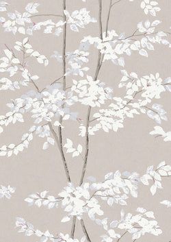 Color – Linen