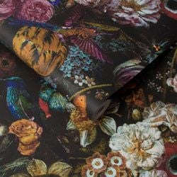 Color – Black