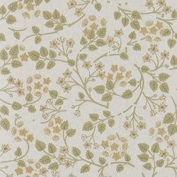 Color – Lichen