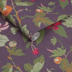 Color – Plum
