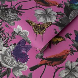 Color – Magenta