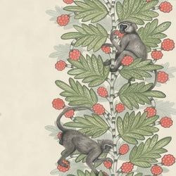 Color – Olive & Coral on Parchment