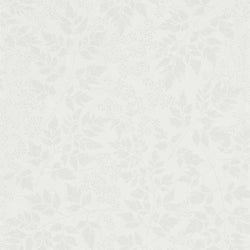 Color – Dove