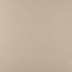 Color – Sienna