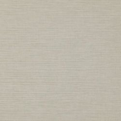 Color – Silver