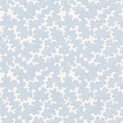 Color – Awakening/Cornflower