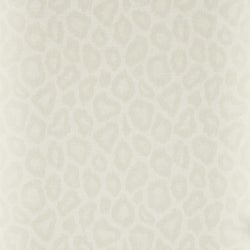 Color – Ivory