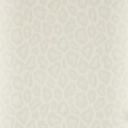 Color – Ivory