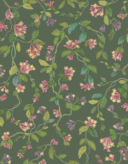 Color – Fuchsia on Racing Green