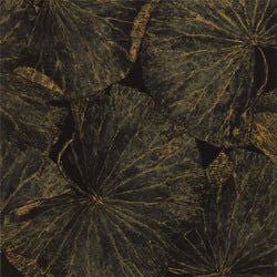 Color – Vine Black