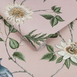 Color – Blush