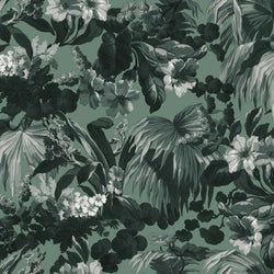 Color – Fern