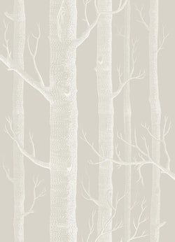 Color – Stone & White