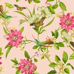 Color – Blush