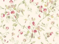 Color – Coral & Olive on Cream