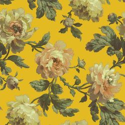 Color – Ochre