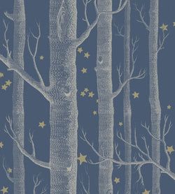 Color – Midnight