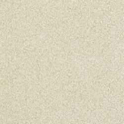 Color – Pale Silver