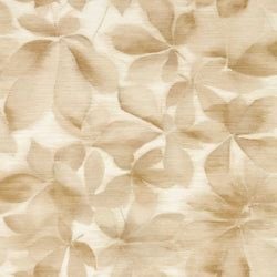 Color – Golden Light/Parchment