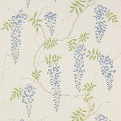 Color – Blue/Green