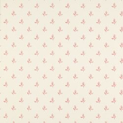Color – Pink