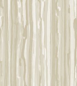 Color – White on Stone