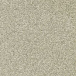 Color – Paris Grey