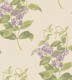 Color – Purple & Olive on Cream