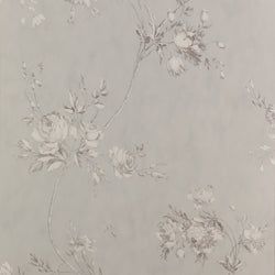 Color – Grey