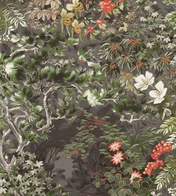 Color – Coral & Olive on Soot
