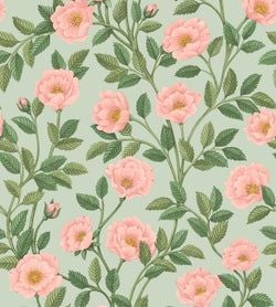 Color – Rose & Leaf Green on Duck Egg