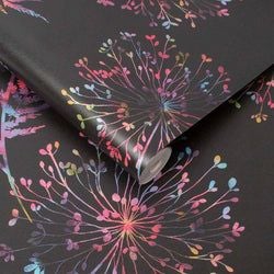 Color – Black
