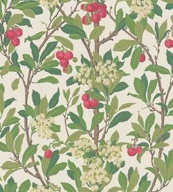 Color – Olive & Red & Leaf Green on White