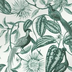 Color – Teal