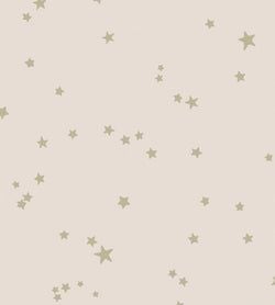 Color – Metallic Gilver on Ballet Slipper