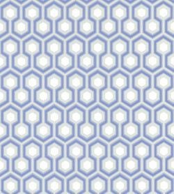 Color – Hyacinth Blue & White on Cool Parchment