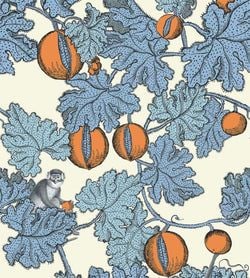 Color – Hyacinth & Orange on White