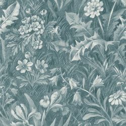 Color – Euphorbia