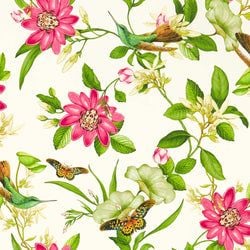 Color – Ivory