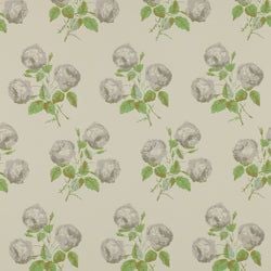 Color – Grey/Green