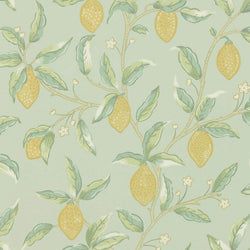 Color – Sage