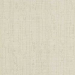 Color – Dove
