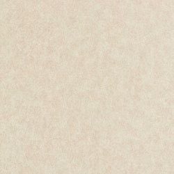Color – Oyster