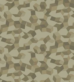 Metallic Gilvers on Soft Olive