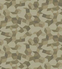 Color – Metallic Gilvers on Soft Olive