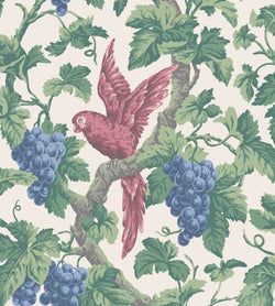 Color – Rose, Hyacinth & Forest on Parchment